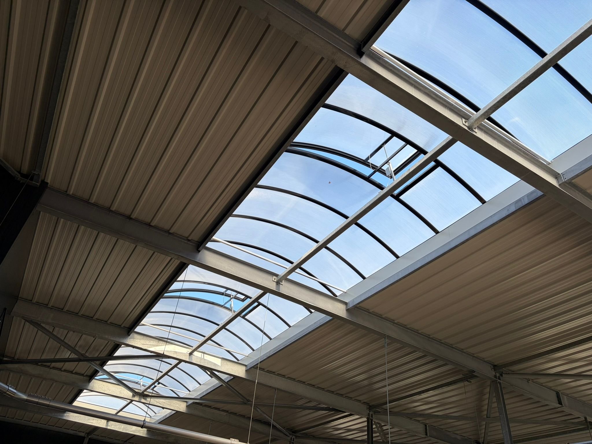 Binnen: daglicht op de wasbanen